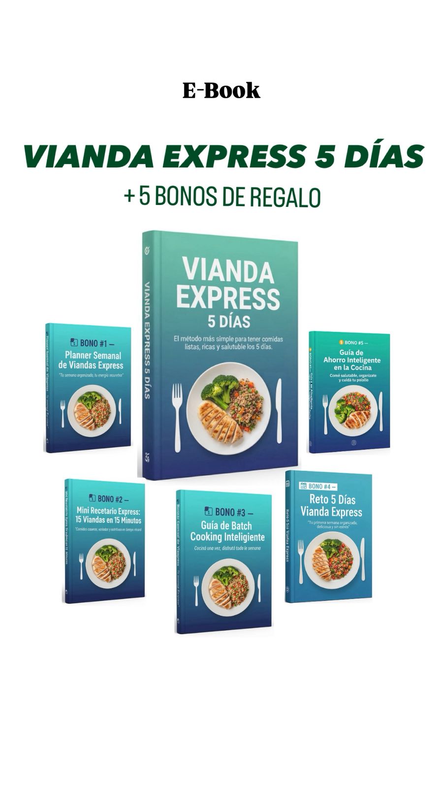 Menu semanal express: viandas express 5 dias