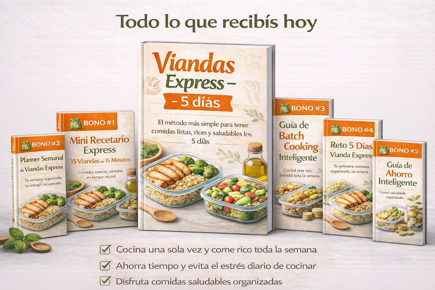 MENU SEMANAL: VIANDAS EXPRESS 5 DIAS + 10 BONOS DE REGALO
